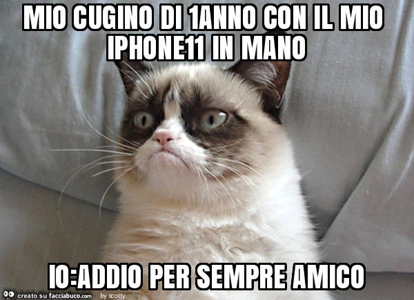 Mio cugino di 1anno con il mio iphone11 in mano io: addio per sempre amico