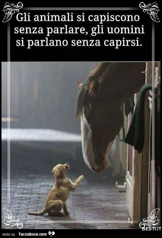 Capirsi senza parlare, parlare senza capirsi