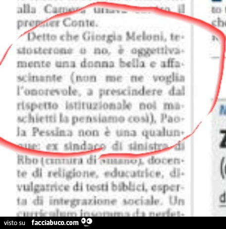 Detto che Giorgia Meloni, testosterone o no è oggettivamente una donna bella e affascinante