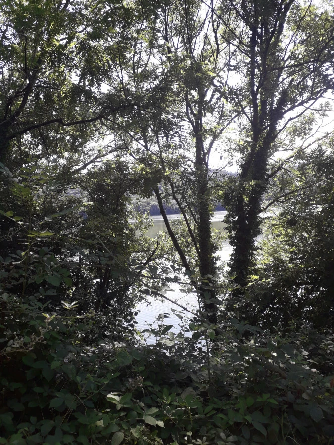Passeggiata al lago