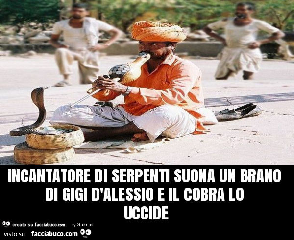 Incantatore di serpenti suona un brano di gigi d'alessio e il cobra lo uccide