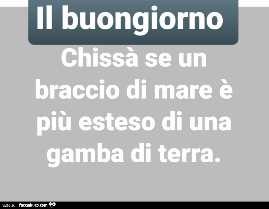 Il domandone