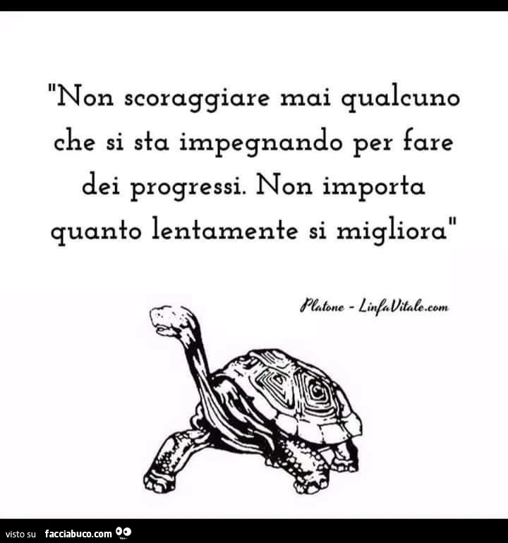 Non scoraggiare mai qualcuno che si impegnando per fare dei progressi. Non importa quanto lentamente si migliora