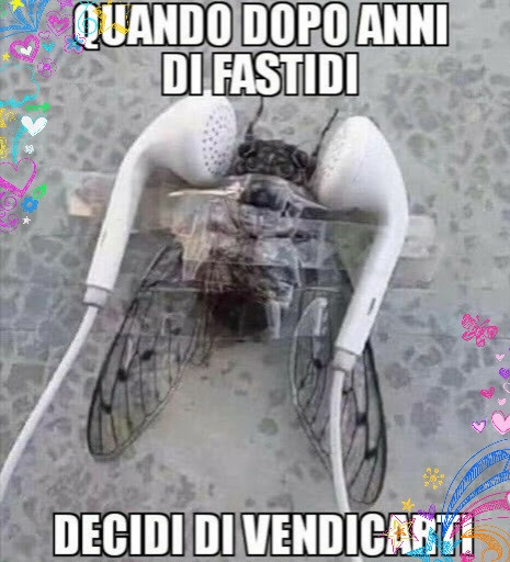 Vendetta