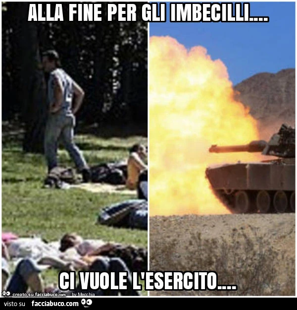 Alla fine per gli imbecilli&hellip; ci vuole l'esercito