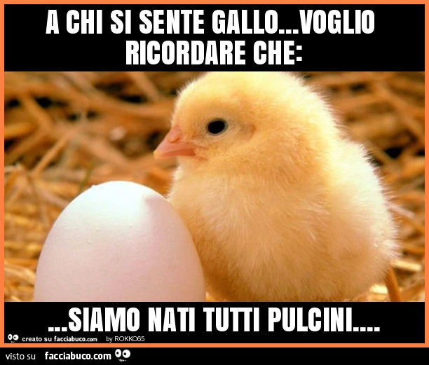 A chi si sente gallo&hellip; voglio ricordare che: &hellip; siamo nati tutti pulcini