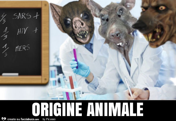 Origine animale