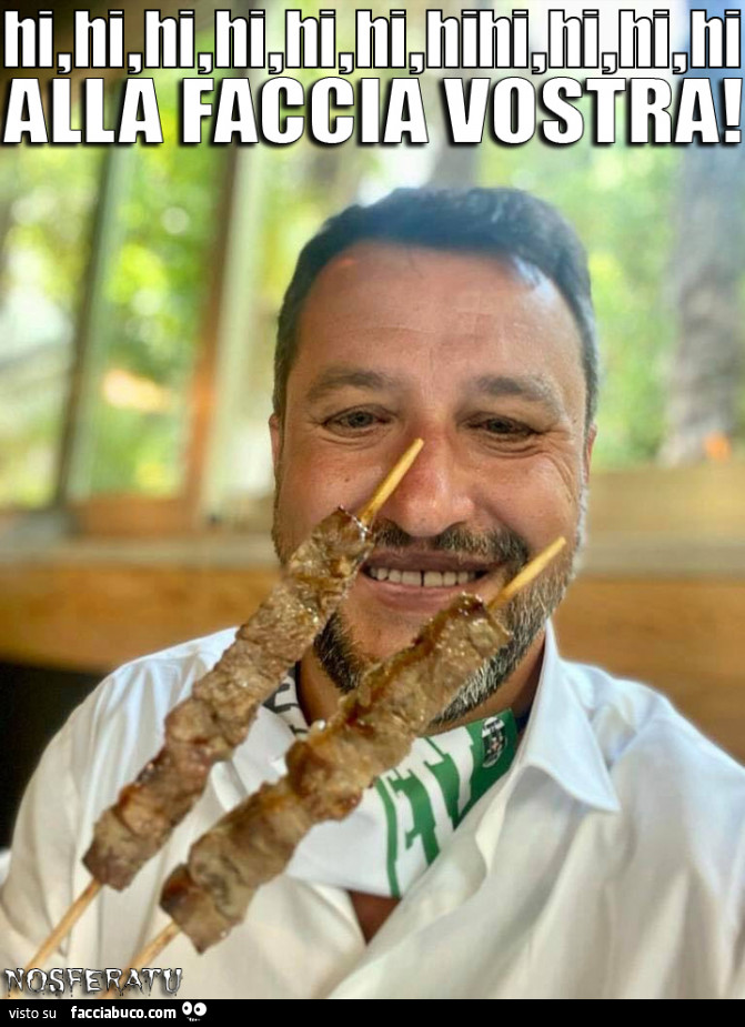 Salvini: alla faccia vostra