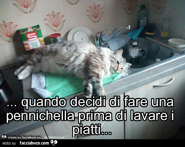 Quando decidi di fare una pennichella prima di lavare i piatti