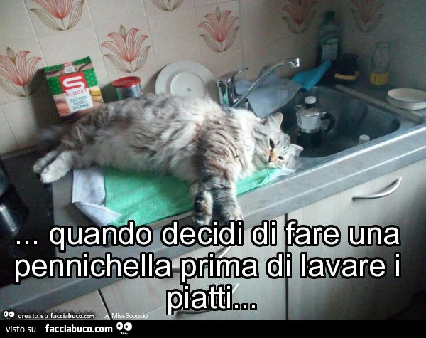 Quando decidi di fare una pennichella prima di lavare i piatti