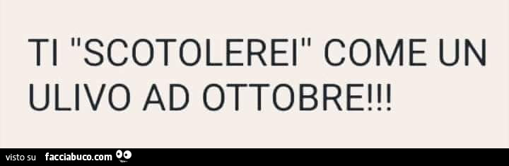 Ti scotolerei come un ulivo ad ottobre