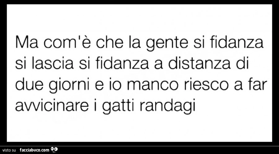 Ma com'è che la gente si fidanza si lascia si fidanza a distanza di due giorni e io manco riesco a far avvicinare i gatti randagi