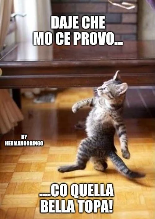 Gattaccio "magnatopa"