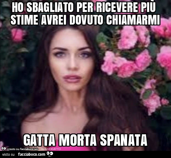 Ho sbagliato per ricevere più stime avrei dovuto chiamarmi gatta morta spanata