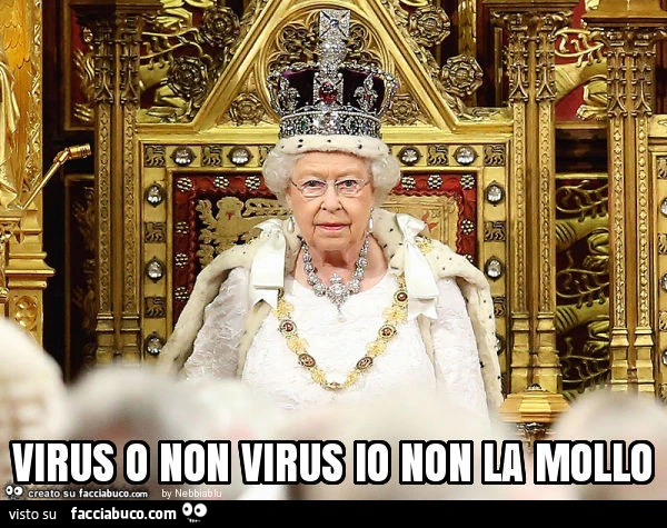Virus o non virus io non la mollo