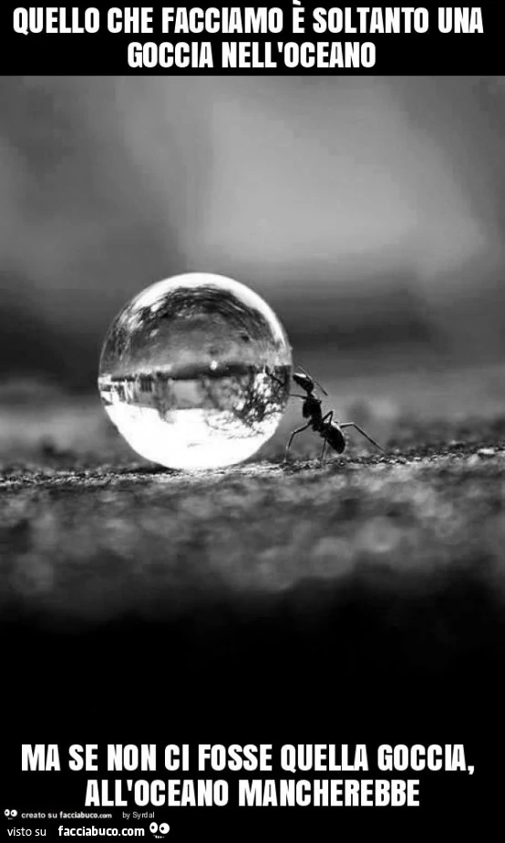 Quello che facciamo è soltanto una goccia nell'oceano ma se non ci fosse quella goccia, all'oceano mancherebbe