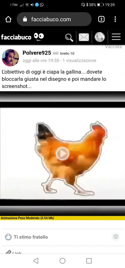 Vaccata