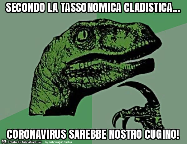 Secondo la tassonomica cladistica&hellip; coronavirus sarebbe nostro cugino