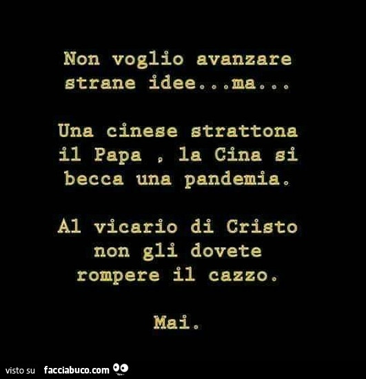 Non voglio avanzare strane idee. Una cinese strattona il papa la cina gi becca una pandemia. Al vicario di cristo non gli dovete rompere il cazzo. Mai