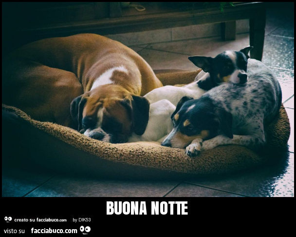 Buona notte