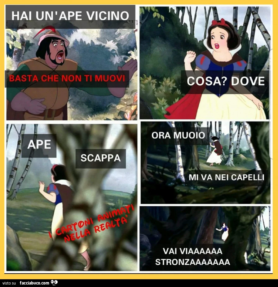 Vaccata
