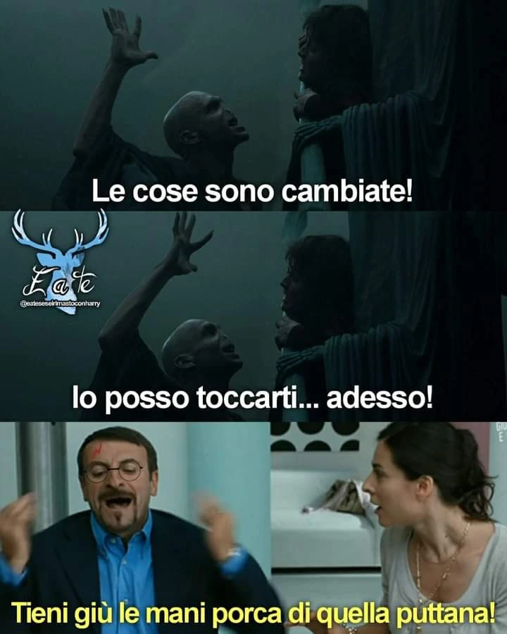 Vaccata