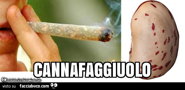 Cannafaggiuolo