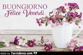 Vaccata