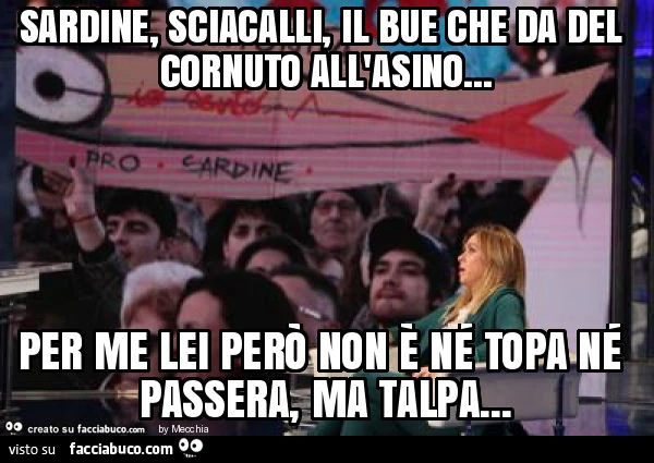 Sardine, sciacalli, il bue che da del cornuto all'asino&hellip; per me lei però non è né topa né passera, ma talpa