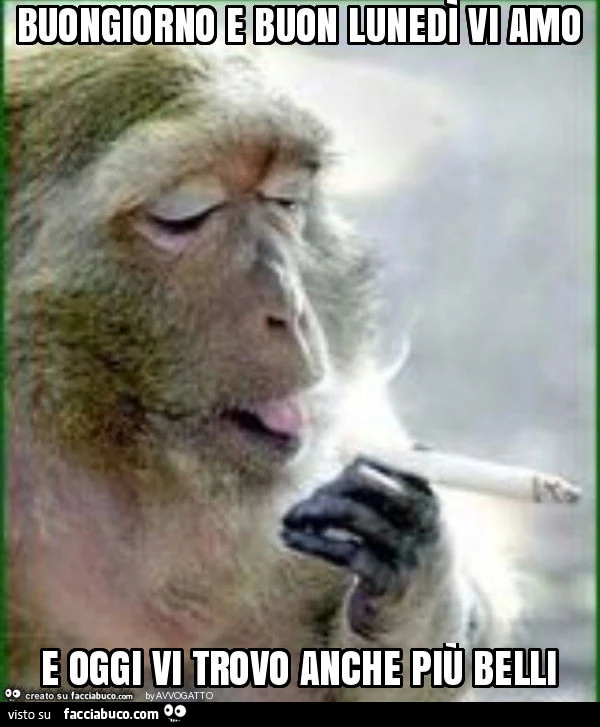 Buongiorno e buon lunedì vi amo e oggi vi trovo anche più belli
