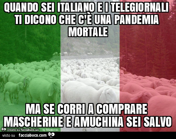 Quando sei italiano e i telegiornali ti dicono che c'è una pandemia mortale ma se corri a comprare mascherine e amuchina sei salvo