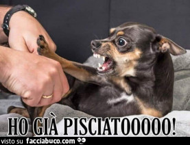 Vaccata