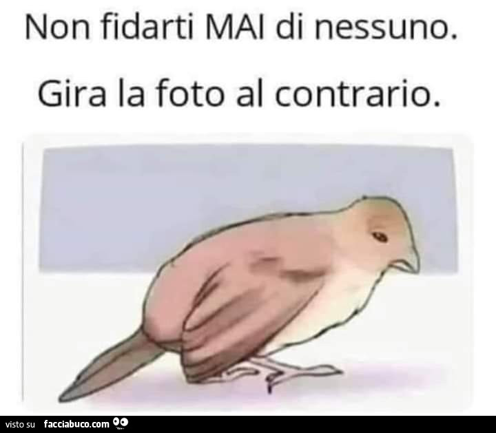 Non fidarti di nessuno