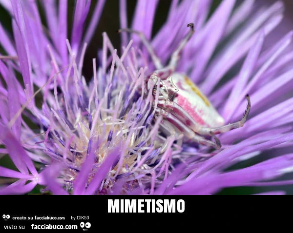 Mimetismo