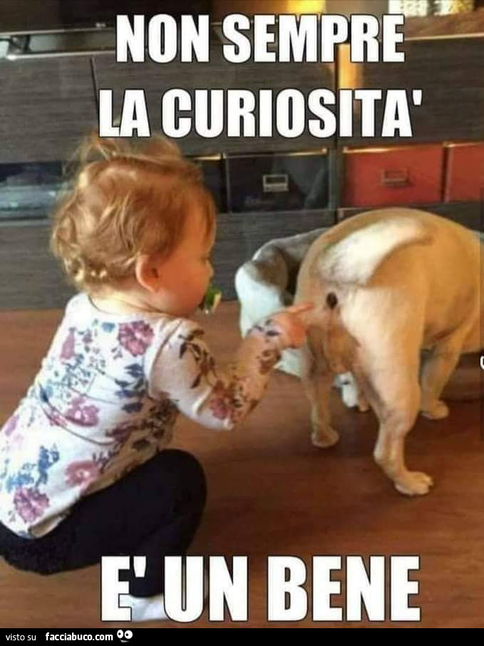 Curiosità