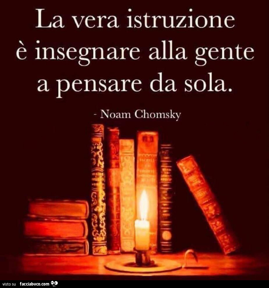 La vera istruzione è insegnare alla gente a pensare da sola. Noam Chomsky