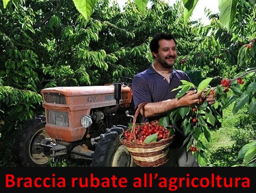 Salvini lavoro