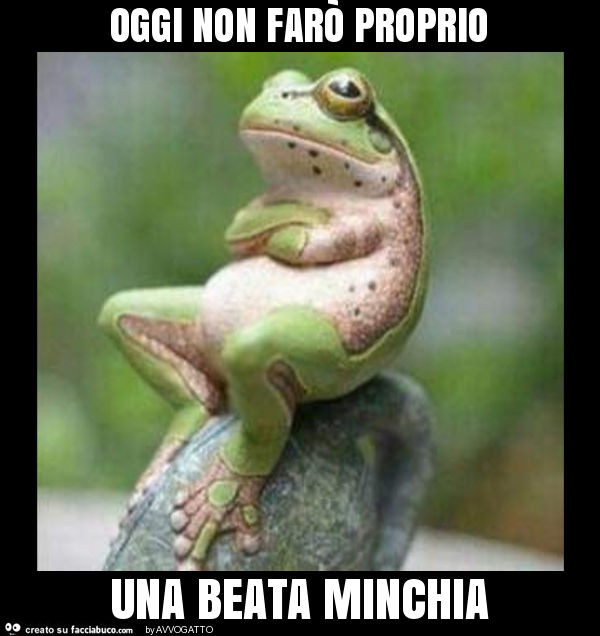 Oggi non farò proprio una beata minchia