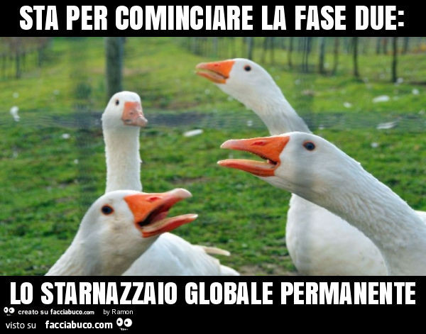 Sta per cominciare la fase due: lo starnazzaio globale permanente