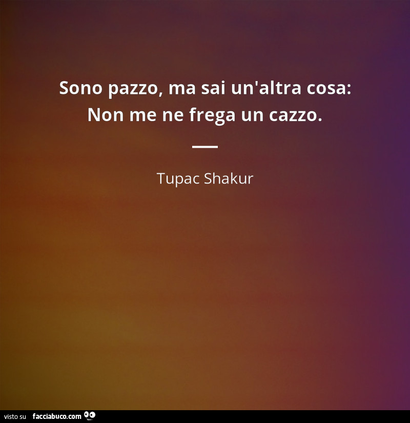 Sono pazzo, ma sai un'altra cosa: non me ne frega un cazzo. Tupac Shakur