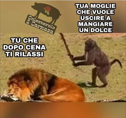 Tu che dopo cena ti rilassi tua moglie che vuole uscire a mangiare un dolce