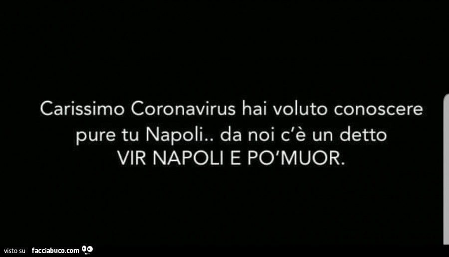 Carissimo coronavirus hai voluto conoscere pure tu napoli. Da noi c'è un detto vir napoli e po' muor