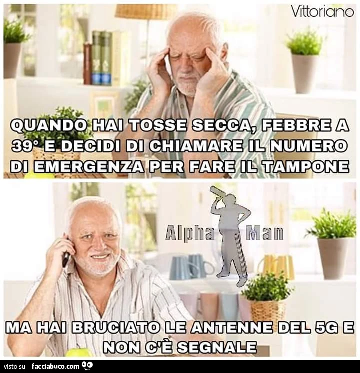 Vaccata