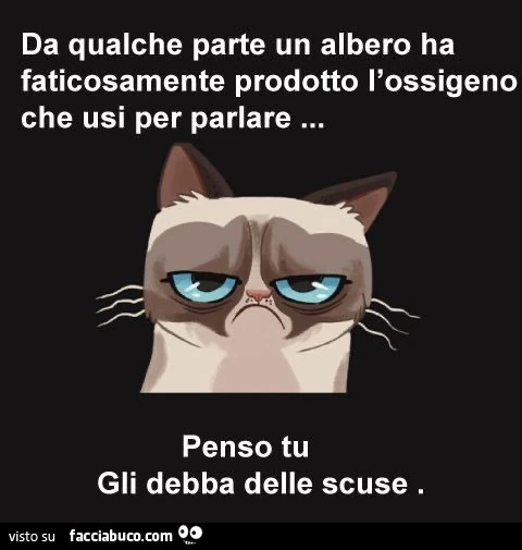 Da qualche parte
