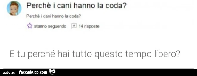 Perché i cani hanno la coda? E tu perché hai tutto questo tempo libero?