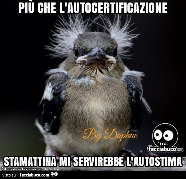 Più che l'autocertificazione stamattina mi servirebbe l'autostima