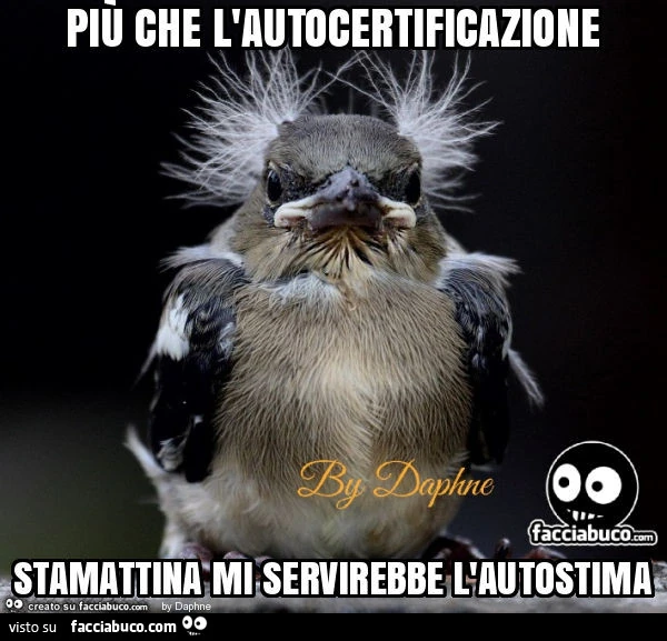 Più che l'autocertificazione stamattina mi servirebbe l'autostima