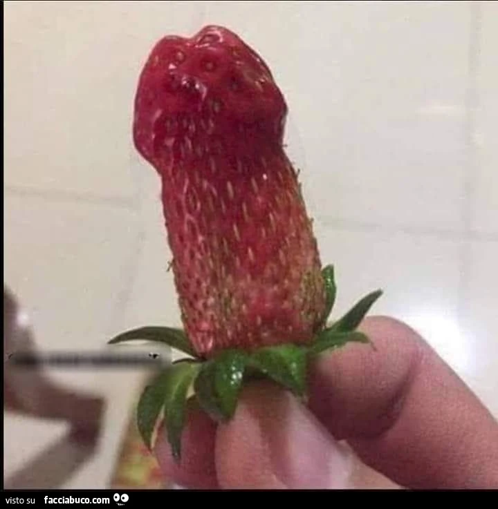 Fragole