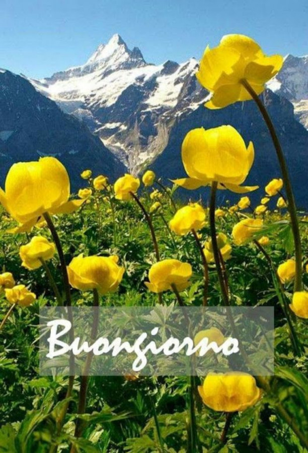 Buongiorno In Montagna Facciabuco Com