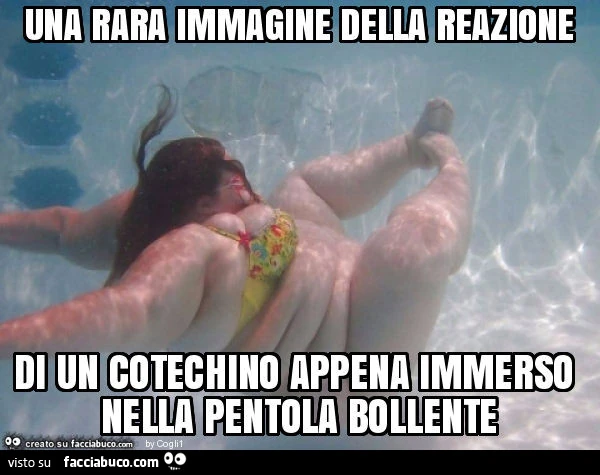 Una rara immagine della reazione di un cotechino appena immerso nella pentola bollente